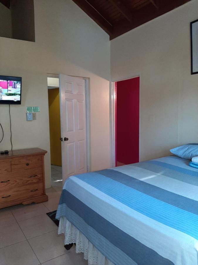 Dancehall Hostel คิงส์ตัน ภายนอก รูปภาพ